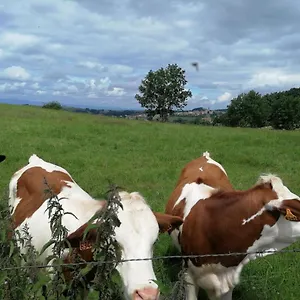  Privatunterkunft D'hotes Les Myriades D'or Frankreich